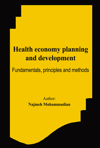 health economy planning and development
